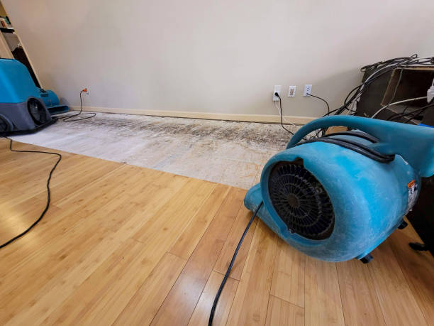 Professional Sewage Cleanup technician working in Cedar Hill, MO
